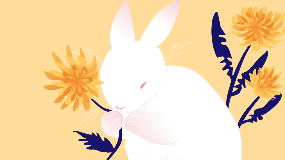 Leap Into the Void: How to Draw a Bunny