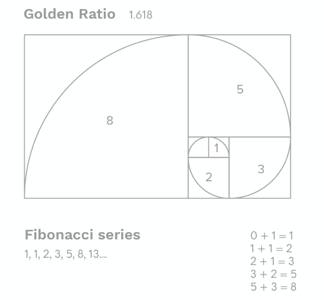 golden ratio in nature human body