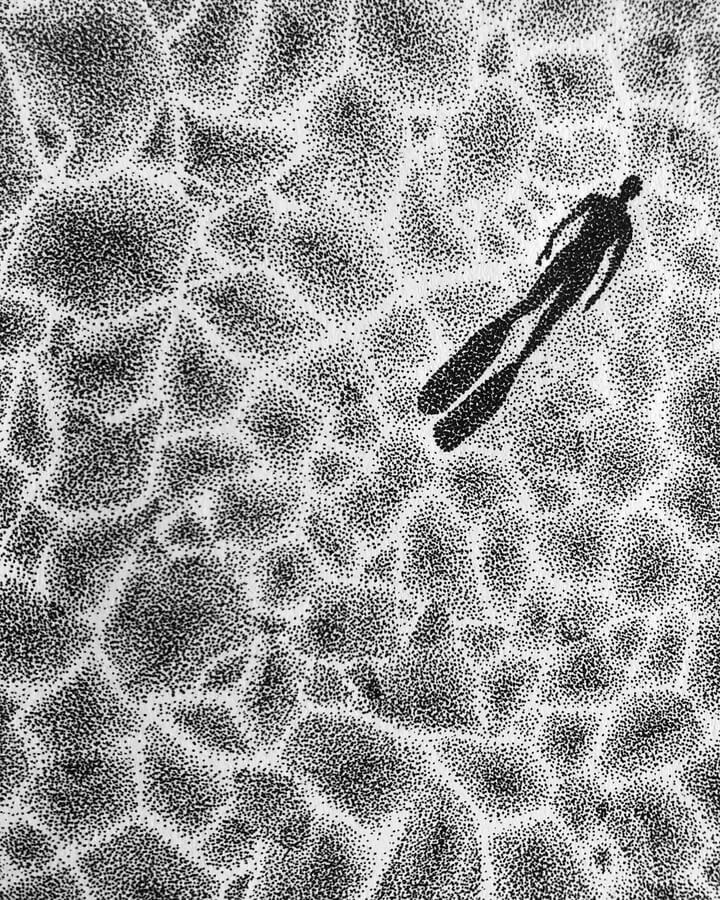 Stippling-style artwork of a diver with fins swimming underwater, casting a shadow against a textured pattern of sunlight through water.