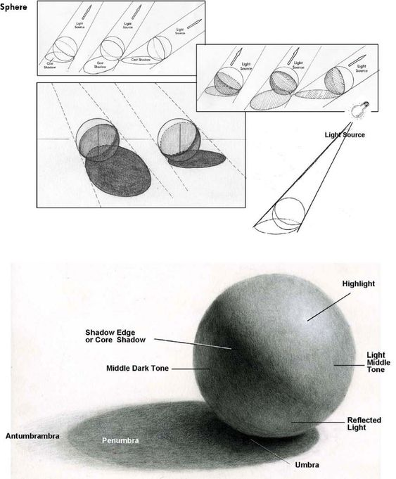 Instructional drawing illustrating light, shadow, and shading on a sphere, showing highlight, core shadow, and light source dynamics.