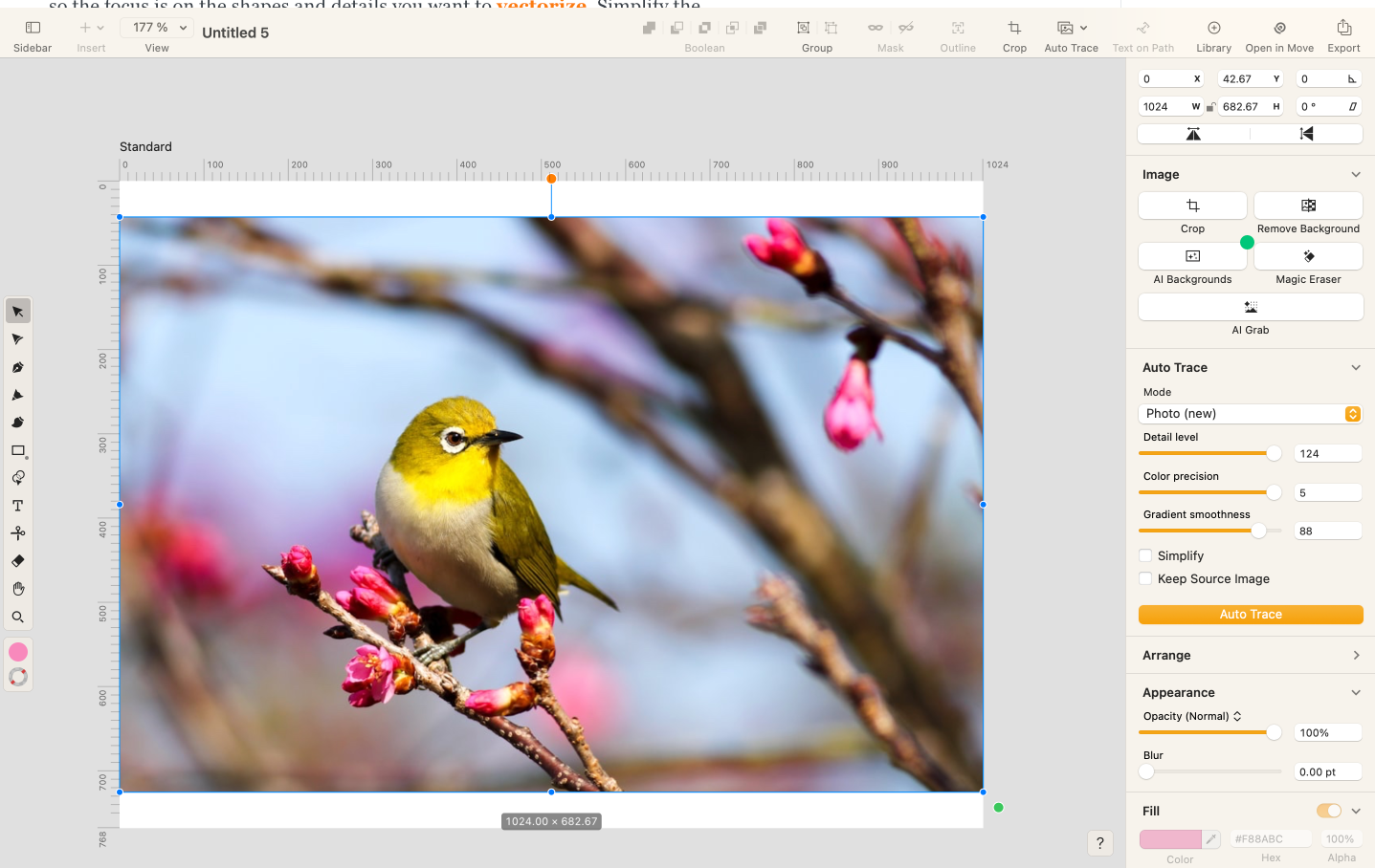 Screenshot of Linearity Curve workspace showing a photo of a yellow bird on a branch with pink blossoms, ready for vectorization with Auto Trace settings visible.